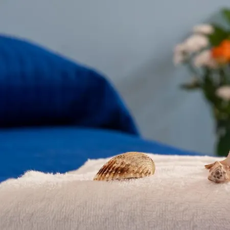 Отель Plaza Con Piscina 3*