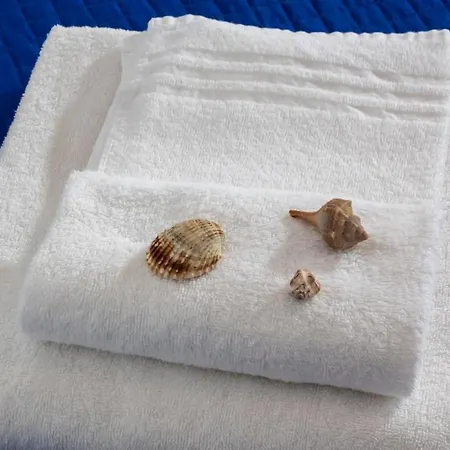 Plaza Con Piscina 3*