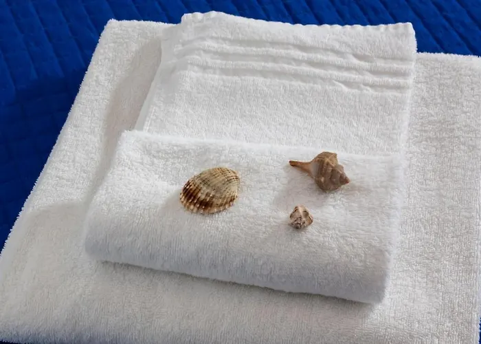 Plaza Con Piscina 3*