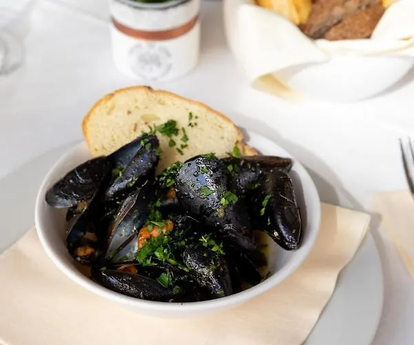 호텔 Plaza Con Piscina 카톨리카